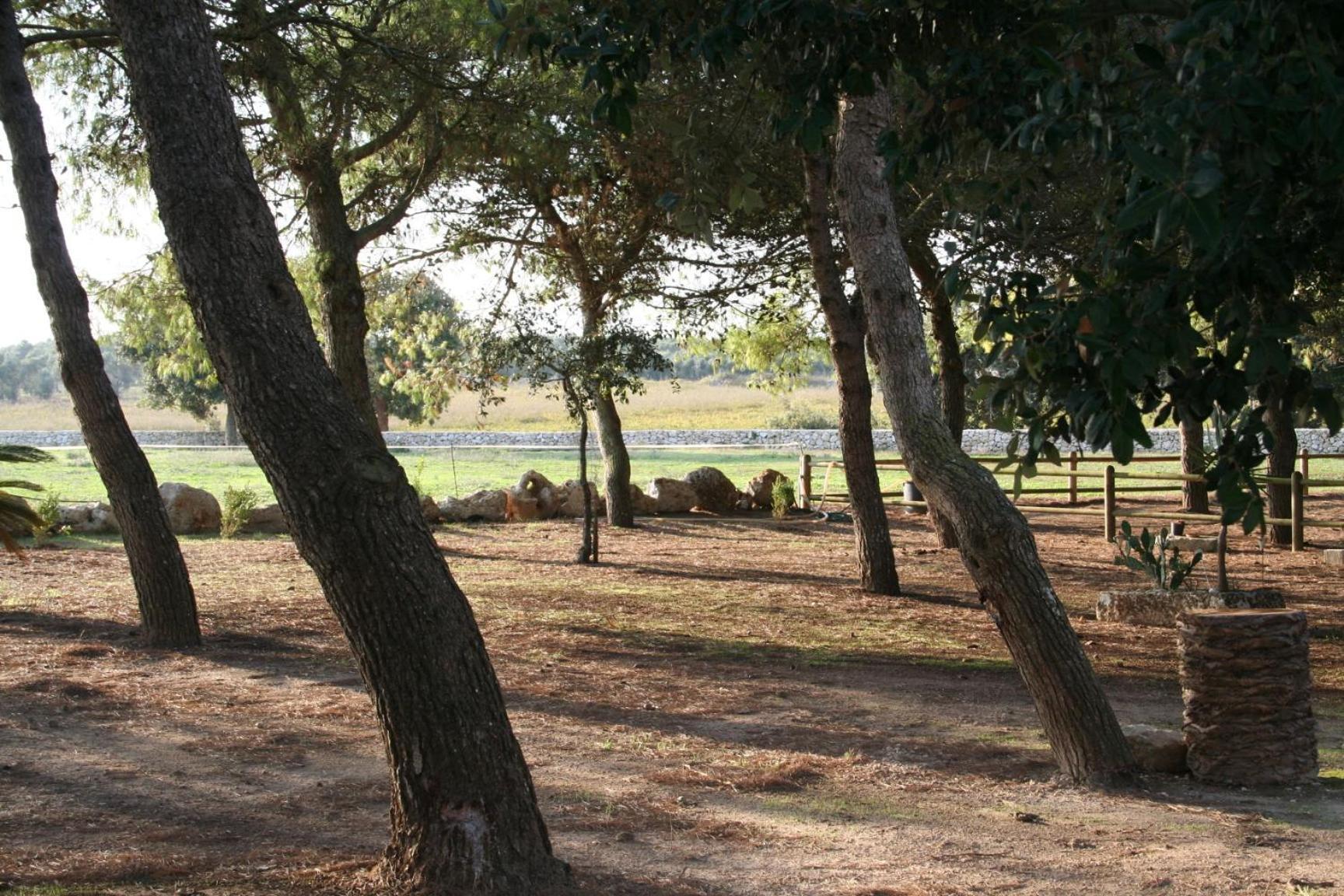 Masseria Autigne โอตรันโต ภายนอก รูปภาพ